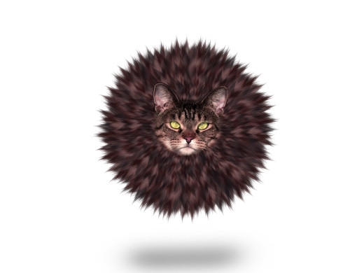 166743 (a): :1024x768
